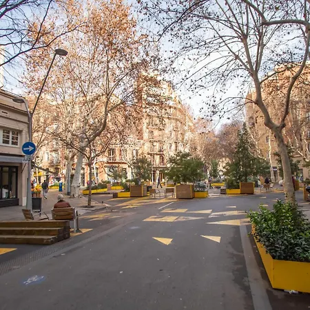 41par1022 - Luminous In Sant Antoni *